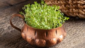 Micro ortaggi, come coltivare i microgreens a casa e i vantaggi incredibili