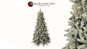 Alberi di Natale su moranduzzo.com