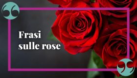 Frasi sulle rose, simbolo per eccellenza dell’amore