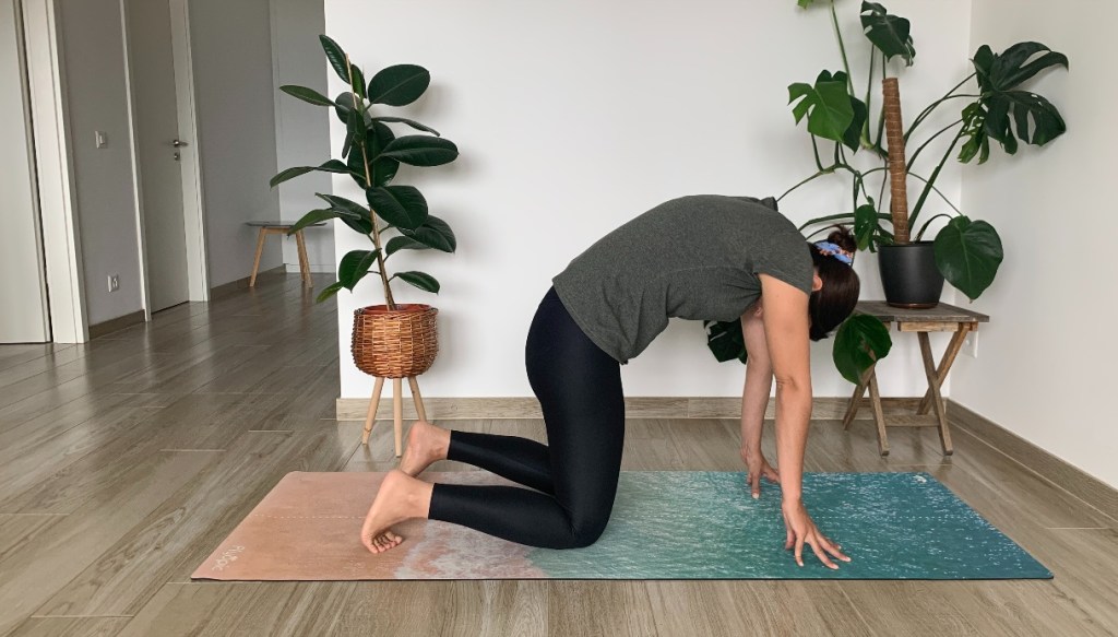 posizione yoga del gatto e della mucca