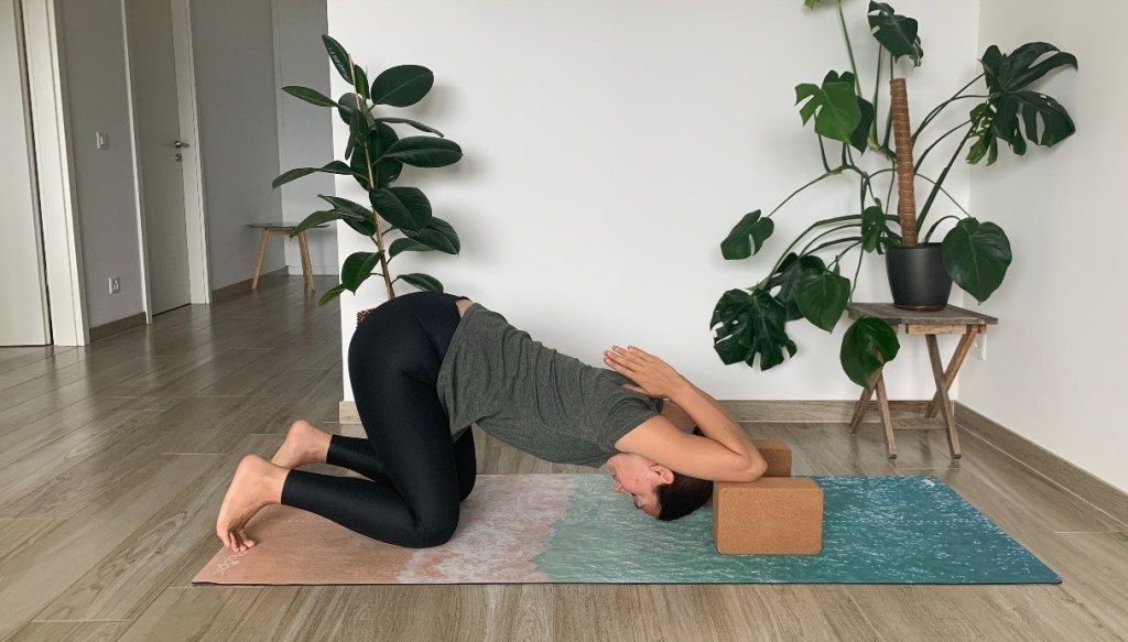 variazione yoga puppy pose