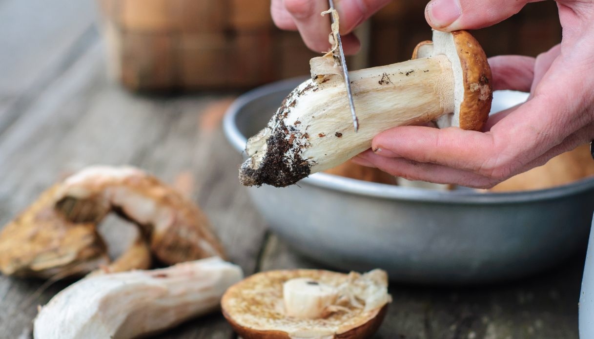 Come pulire i funghi, la guida definitiva tipo per tipo