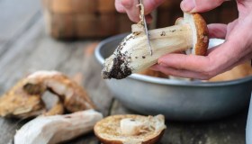 Come pulire i funghi, la guida definitiva tipo per tipo