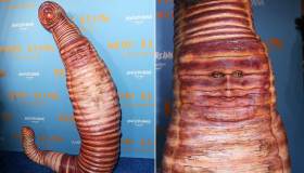 Halloween 2022, Heidi Klum la numero uno: travestimento da verme gigante