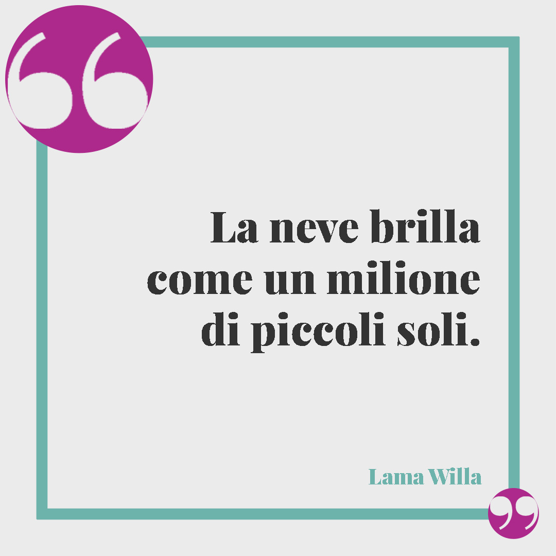 Frasi sulla neve. La neve brilla come un milione di piccoli soli. (Lama Willa)
