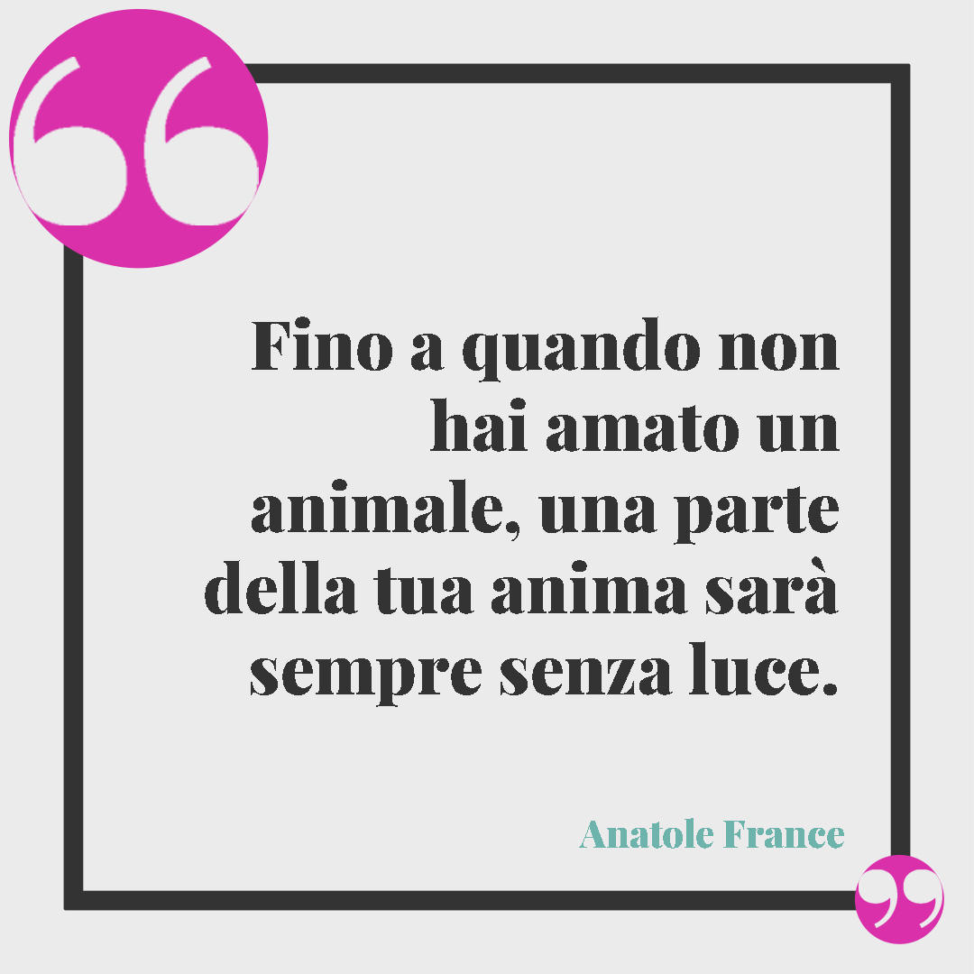 Frasi sugli animali. Fino a quando non hai amato un animale, una parte della tua anima sarà sempre senza luce. (Anatole France)