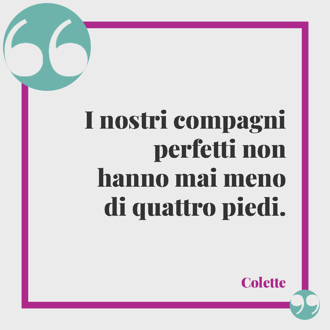 Frasi sugli animali. I nostri compagni perfetti non hanno mai meno di quattro piedi. (Colette)