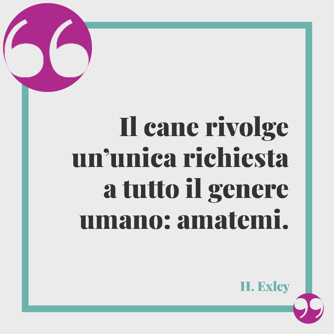 Frasi sugli animali. Il cane rivolge un’unica richiesta a tutto il genere umano: amatemi. (H. Exley)