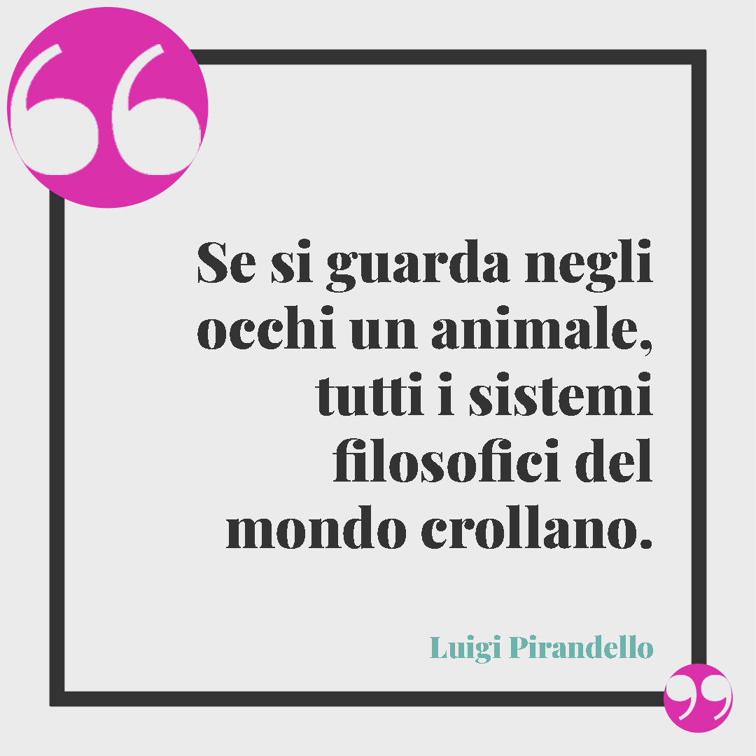 Frasi sugli animali. Se si guarda negli occhi un animale, tutti i sistemi filosofici del mondo crollano. (Luigi Pirandello)