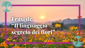 “Il linguaggio segreto dei fiori”, le frasi più belle: da non perdere