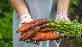 Giardinaggio in compagnia, ecco perché fa bene alla salute