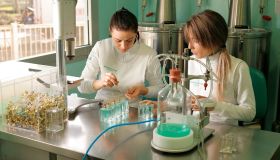 Prevenzione al femminile e ricerca: conoscere e combattere l’endometriosi