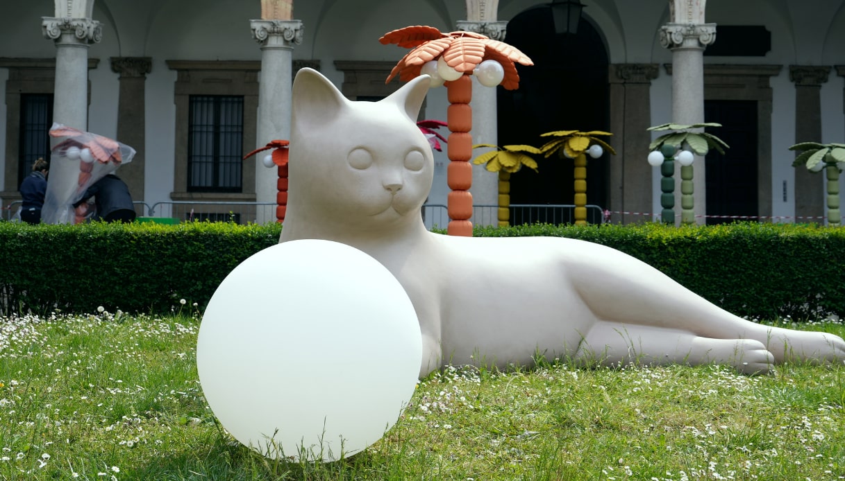 Fuorisalone 2023: maxi gatti e cubo gigante all’Università Statale di Milano