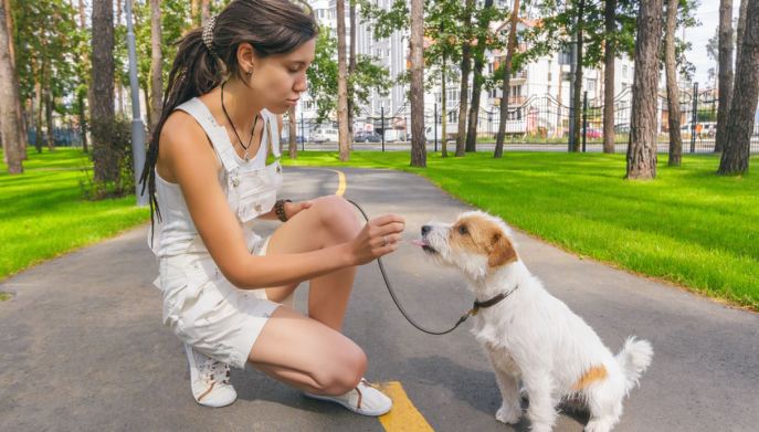 padrona premia cagnolino
