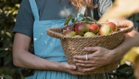 Pere: ecco perché dovresti mangiarle più spesso