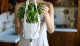 Test: hai il pollice verde?