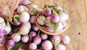 Rape: cosa sono, valori nutrizionali e benefici a dieta