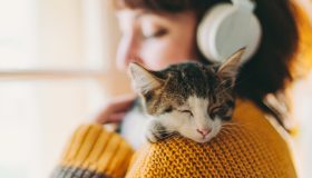 Il tuo gatto ti vede come la sua mamma: lo conferma uno studio