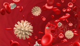 Leucemie, linfomi e mielomi, a che punto è la ricerca sulle cure