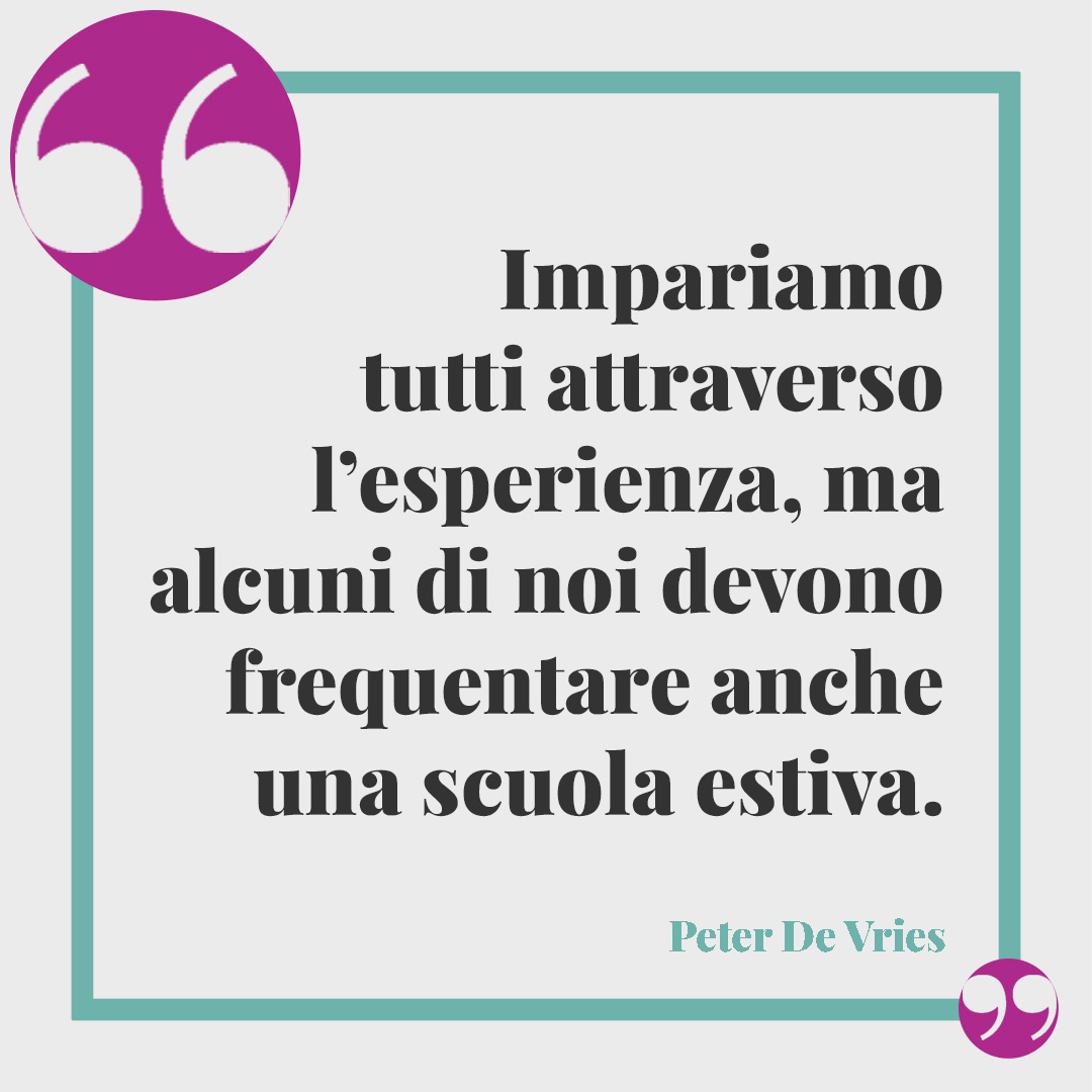 Frasi sull'inizio della scuola. Impariamo tutti attraverso l’esperienza, ma alcuni di noi devono frequentare anche una scuola estiva. (Peter De Vries)