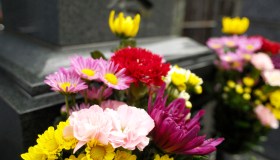 Addio alla giornalista Daniela Mazzacane, l’ultimo messaggio per il marito