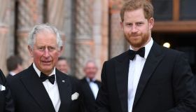 Carlo vuole riappacificarsi con Harry, ma l’affetto paterno c’entra poco