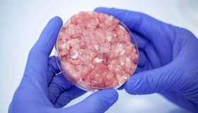 Carne coltivata vietata per legge: cos’è e dove la si può mangiare