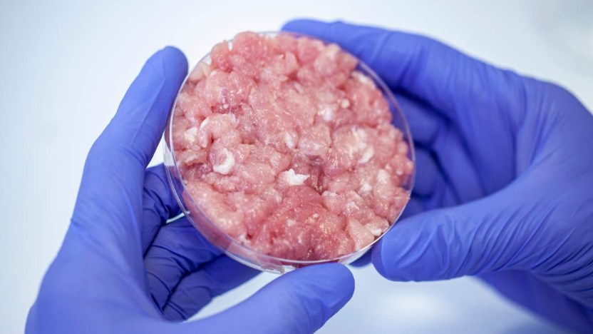 Carne coltivata vietata per legge: cos’è e dove la si può mangiare