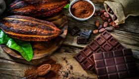 Teobromina, dove trovarla e come agisce sul sistema nervoso