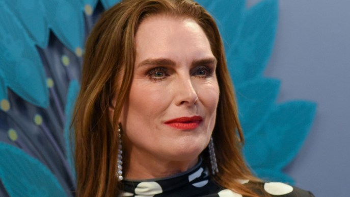 Brooke Shields ricoverata per una grave crisi epilettica: il racconto