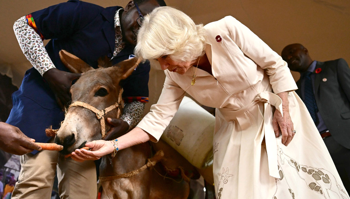 Camilla Kenya