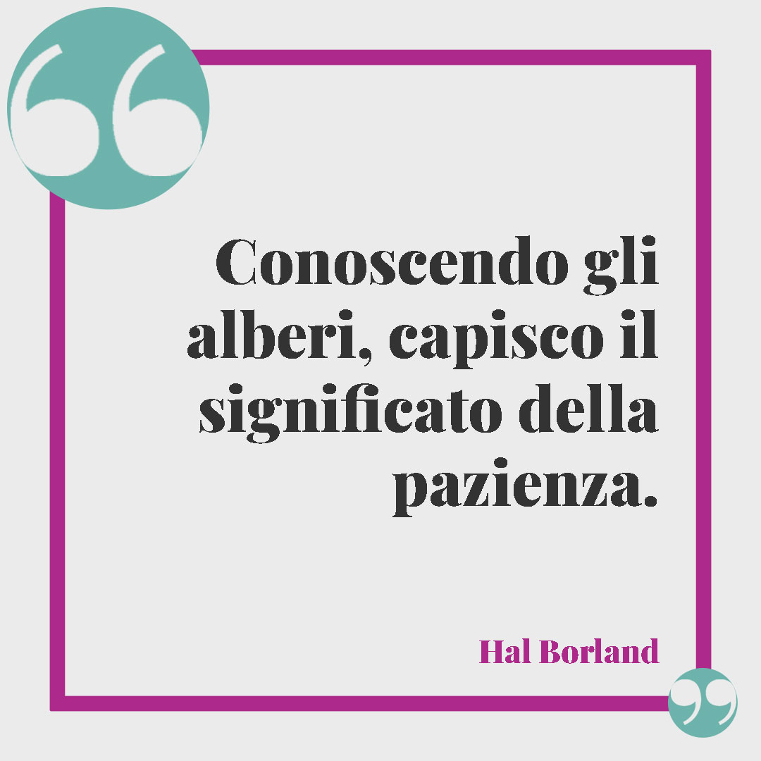 Frasi sull'albero della vita. Conoscendo gli alberi, capisco il significato della pazienza. (Hal Borland)