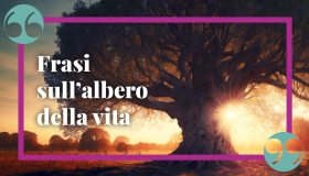 Frasi sull’albero della vita per riflettere sulla nostra esistenza