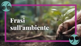 Frasi sull’ambiente: le più belle citazioni e gli aforismi più suggestivi