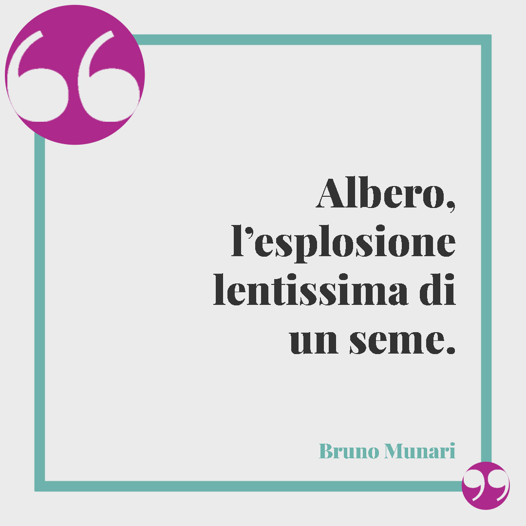 Frasi sugli alberi. Albero, l’esplosione lentissima di un seme. (Bruno Munari)