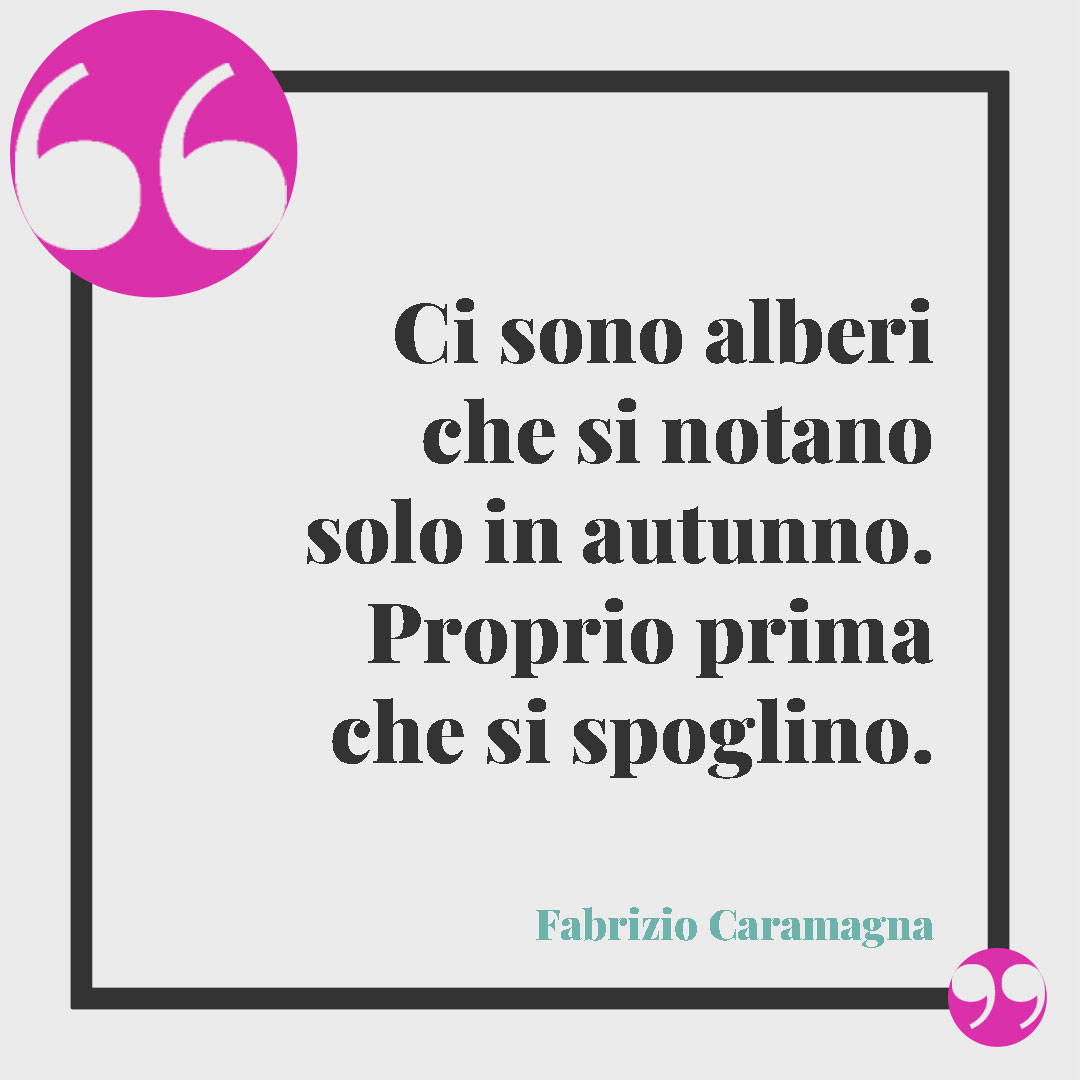 Frasi sugli alberi. Ci sono alberi che si notano solo in autunno. Proprio prima che si spoglino. (Fabrizio Caramagna)