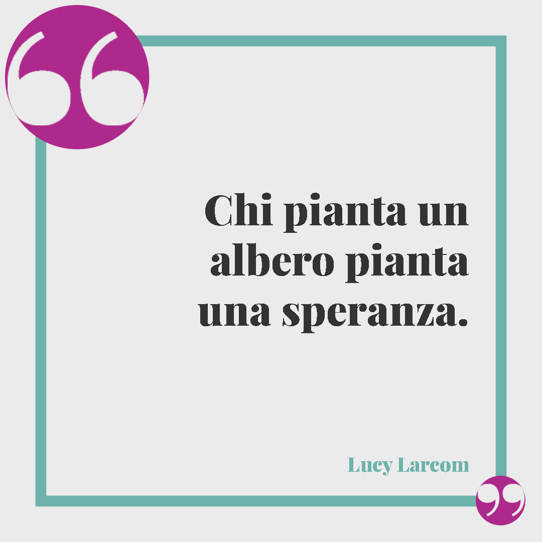 Frasi sugli alberi. Chi pianta un albero pianta una speranza. (Lucy Larcom)