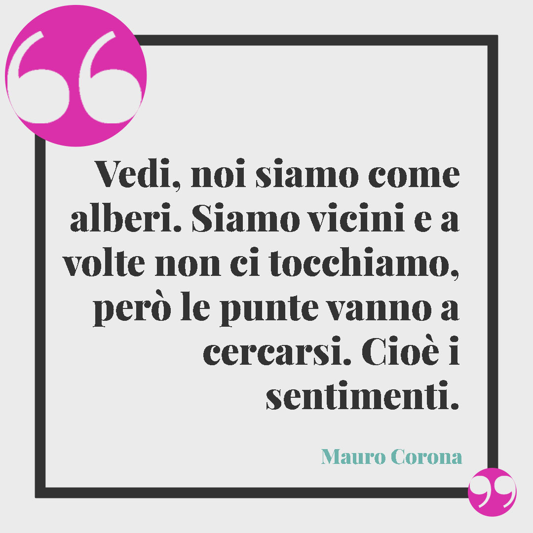 Frasi sugli alberi. Vedi, noi siamo come alberi. Siamo vicini e a volte non ci tocchiamo, però le punte vanno a cercarsi. Cioè i sentimenti. (Mauro Corona)