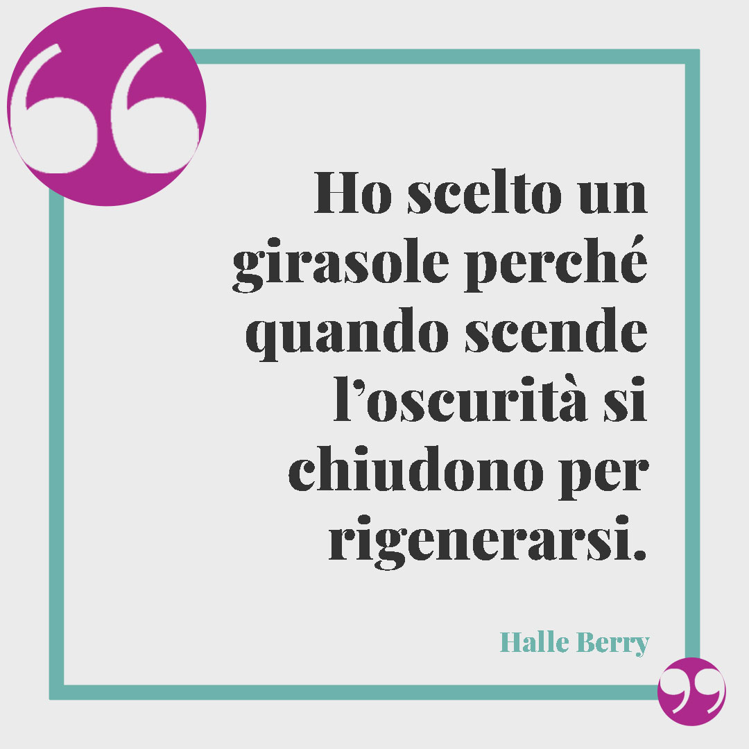 Frasi sul girasole. Ho scelto un girasole perché quando scende l’oscurità si chiudono per rigenerarsi. (Halle Berry)