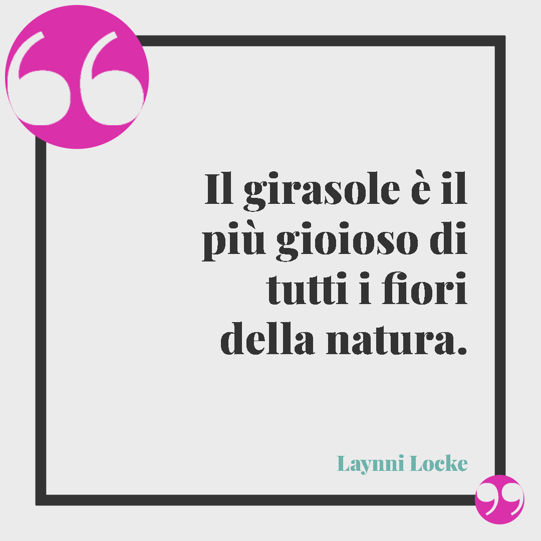 Frasi sul girasole. Il girasole è il più gioioso di tutti i fiori della natura. (Laynni Locke)