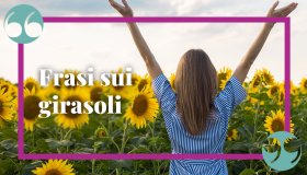 Frasi sul girasole, splendido capolavoro della natura