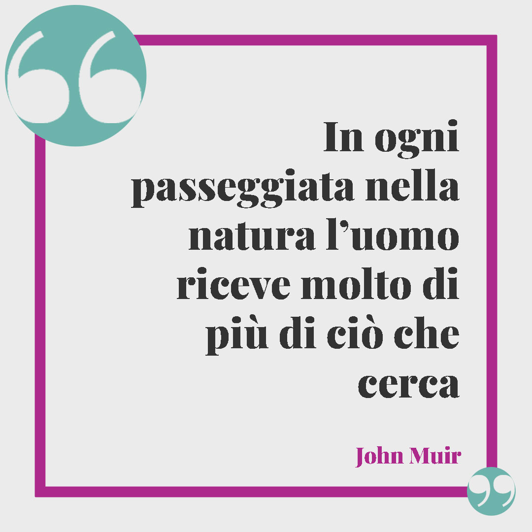 Frasi sul cammino. In ogni passeggiata nella natura l’uomo riceve molto di più di ciò che cerca (John Muir).