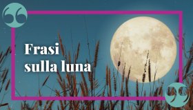 Le più emozionanti frasi sulla luna, per una dedica speciale