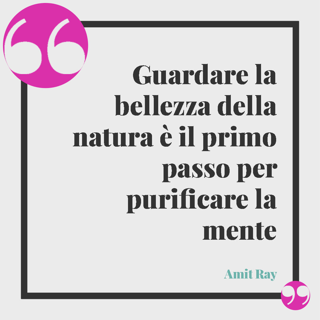 Frasi sulla tranquillità. Guardare la bellezza della natura è il primo passo per purificare la mente (Amit Ray).