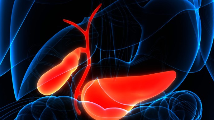 Tumore del pancreas, scoperta l’alleanza invisibile che lo aiuta a crescere