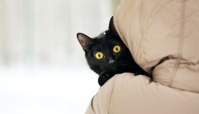 Venerdì 17: porta davvero sfortuna?