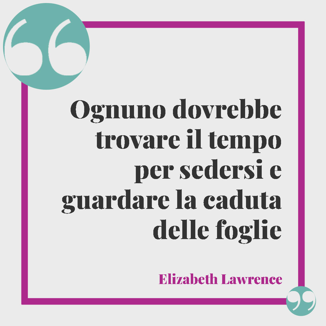Frasi sull'autunno. Ognuno dovrebbe trovare il tempo per sedersi e guardare la caduta delle foglie (Elizabeth Lawrence)