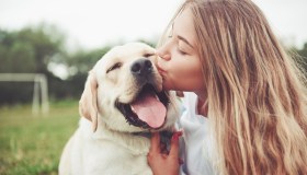 Rifugio animali resta vuoto: tutti i cani e i gatti sono stati adottati