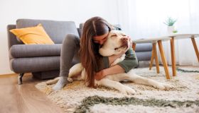 Eutanasia per il cane: quando è necessario prendere questa decisione difficile