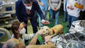 Piemonte: la pet therapy entra nel reparto di terapia intensiva